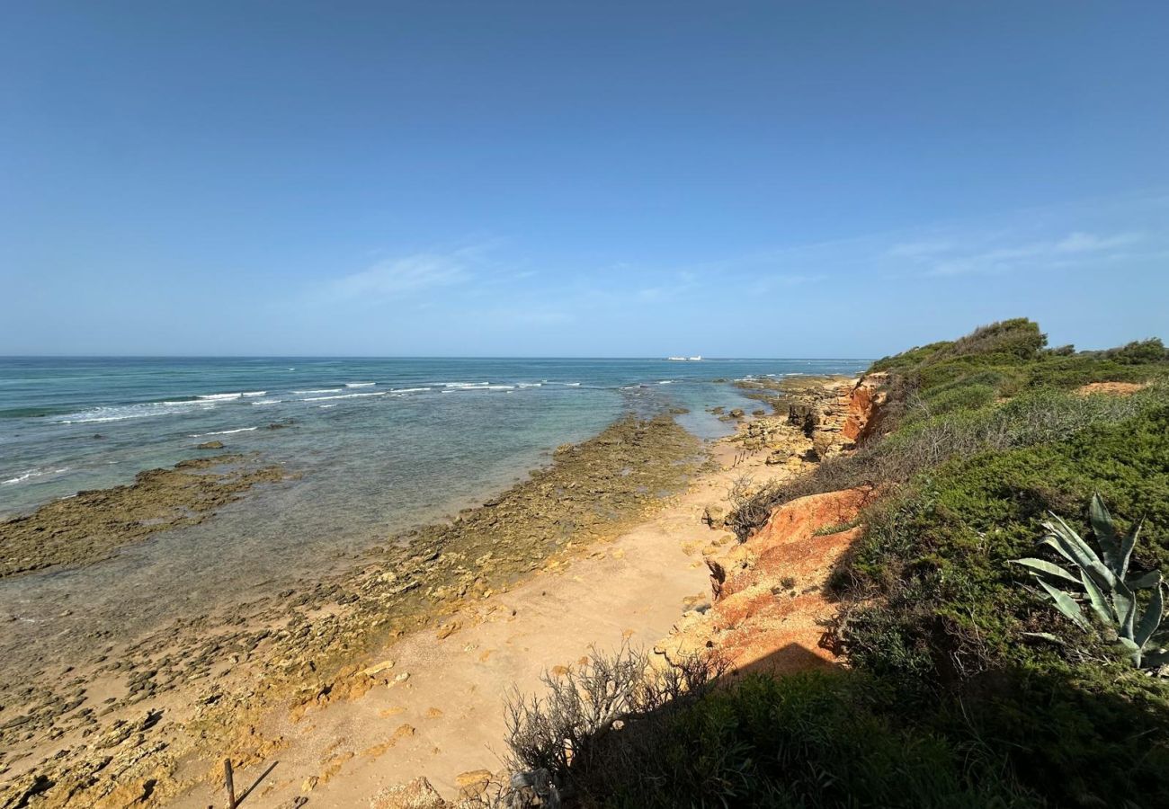 Apartamento en Chiclana de la Frontera - Punto Mágico, apartamento con jardín