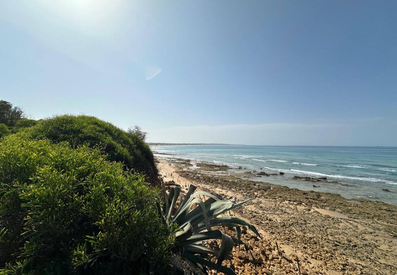 Apartamento en Chiclana de la Frontera - Punto Mágico, apartamento con jardín