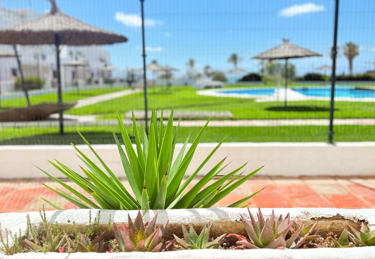 Apartamento en Chiclana de la Frontera - FRENTE AL MAR - R276 Pinar de Don Jesús  -  Acuario