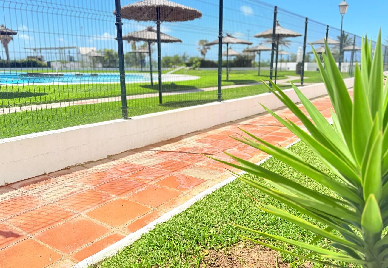 Apartamento en Chiclana de la Frontera - FRENTE AL MAR - R276 Pinar de Don Jesús  -  Acuario