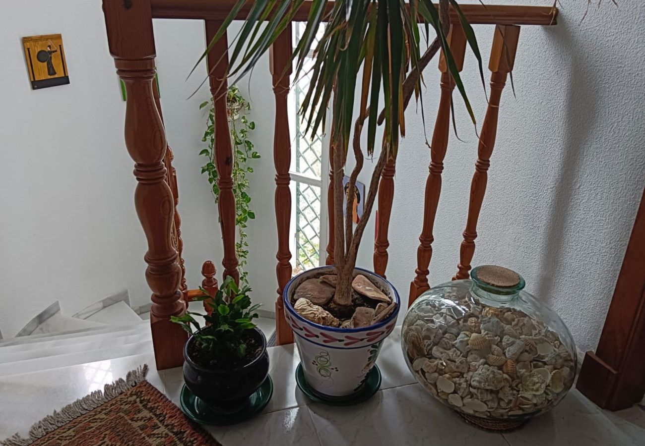 Chalet en Chiclana de la Frontera - R279 Chalet Mesana