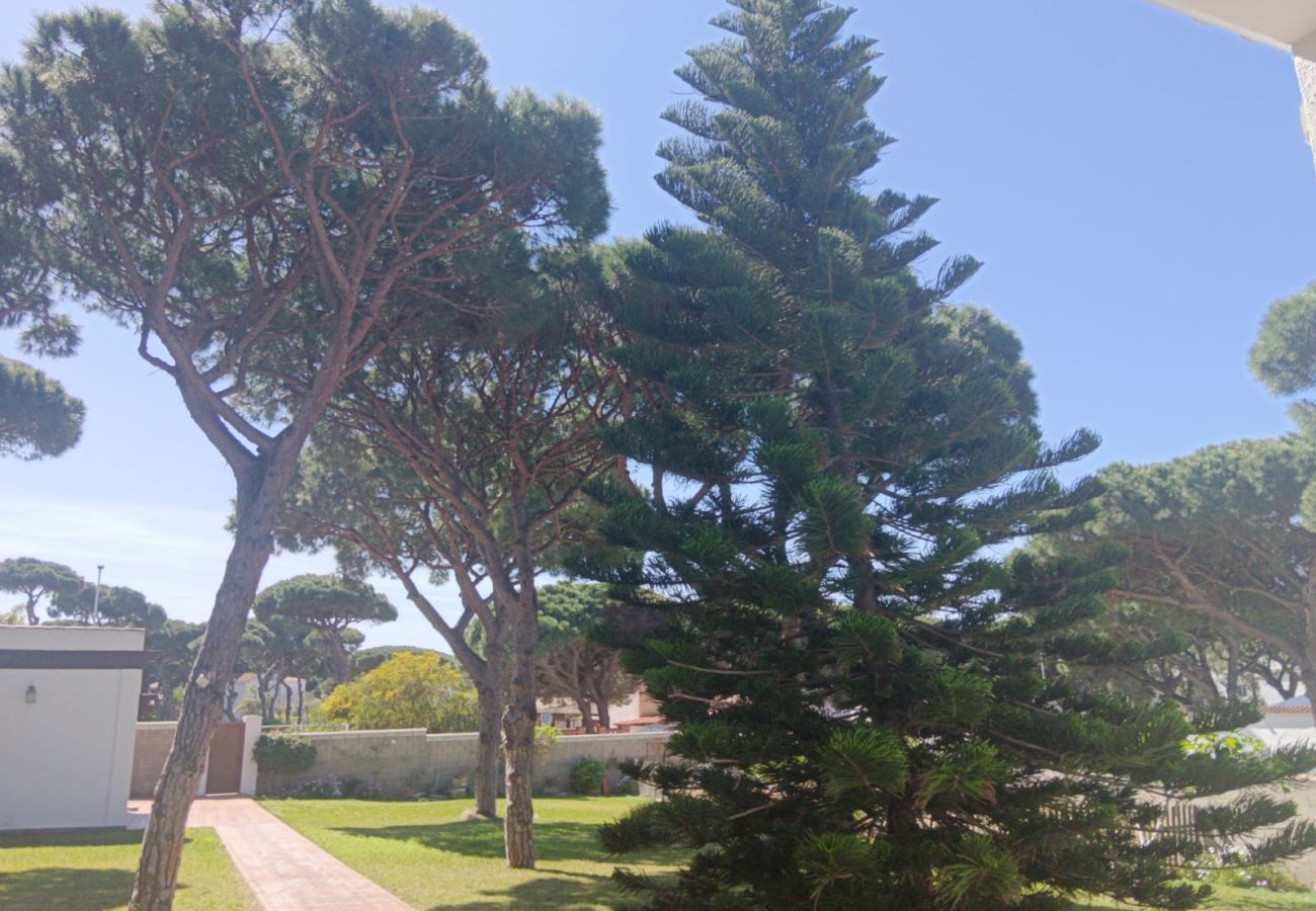 Chalet in Chiclana de la Frontera - 012 Morena